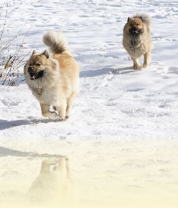 Benjamin und Charis am 17.01.2010